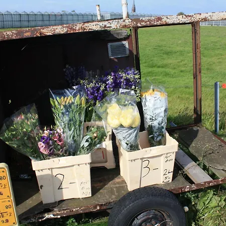 מלון Saint Vincent