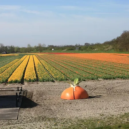 Saint Vincent 3* Poeldijk