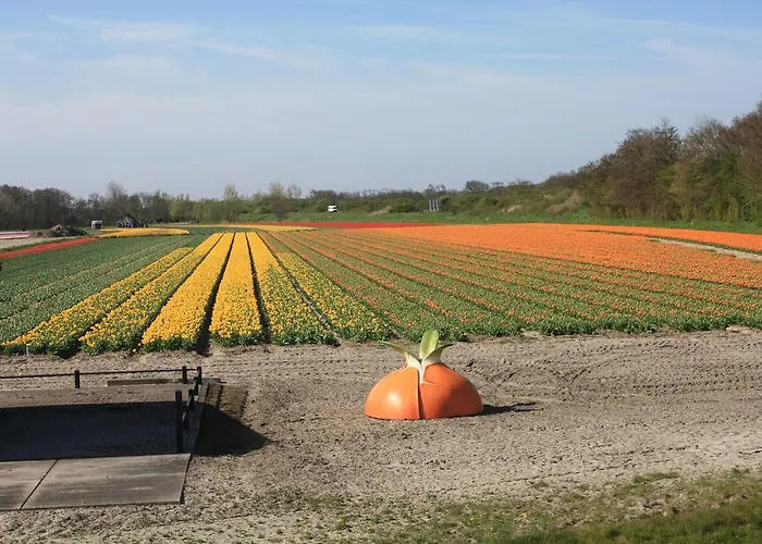 Saint Vincent 3* Poeldijk