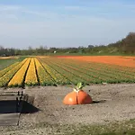 Saint Vincent 3* Poeldijk