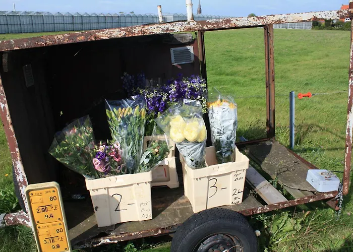 Szálloda Saint Vincent